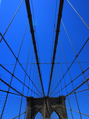 cover image of My New York